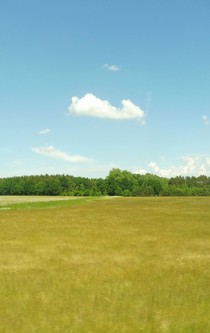 Kleine, weiße Wolke am blauen Himmel über einer Sommerwiese.